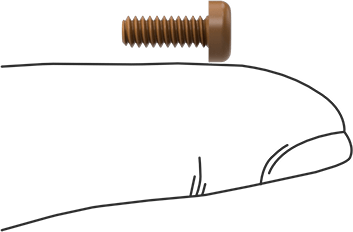 Image of Product. Side1 orientation. Contains SizingReference. High-Strength High-Temperature PEEK Screw, Pan Head Phillips, 6-32 Thread Size, 3/8" Long.