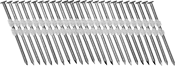 Image of Product. Front orientation. Nails. 21° Angled Strips of Nails for Framing Nailers.