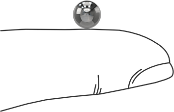 Image of Product. Side1 orientation. Contains SizingReference. Highly Corrosion-Resistant 316 Stainless Steel Ball, 1/4" Diameter.