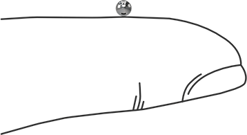 Image of Product. Side1 orientation. Contains SizingReference. Highly Corrosion-Resistant 316 Stainless Steel Ball, 2.5 mm Diameter.