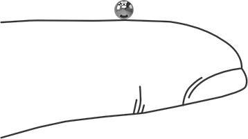 Image of Product. Side1 orientation. Contains SizingReference. Highly Corrosion-Resistant 316 Stainless Steel Ball, 3 mm Diameter.