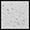 Image of Specification. White. Front orientation. Contains Border. White Seat. Folding Benches.
