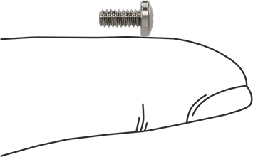Image of Product. Side1 orientation. Contains SizingReference. Thread-Locking Pan Head Phillips Screws, 4-40 Thread Size, 1/4" Long.
