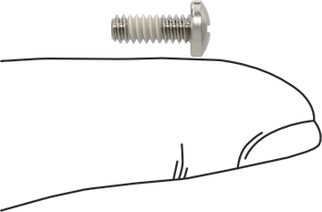 Image of Product. Side1 orientation. Contains SizingReference. Thread-Locking Pan Head Phillips Screws, 6-32 Thread Size, 3/8" Long.
