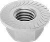 Serrated Flange Nuts
