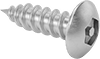 Tapping Screws