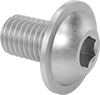 Rounded Head Screws
