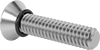 Flat Head Screws