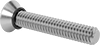 Flat Head Screws