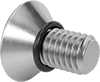Flat Head Screws
