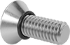 Flat Head Screws