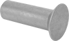 Rivets