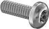 Stainless Steel Pan Head Torx Plus Screws