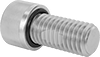 Sealing Thread-Locking Socket Head Screws