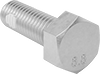 Hex Head Screws