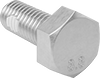 Steel Thread-Locking Hex Head Screws