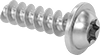 Stainless Steel Torx Flanged Rounded Head Thread-Forming Screws for Thin-Walled Holes in Plastic