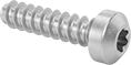 Image of Product. Front orientation. Tapping Screws. Stainless Steel Torx Plus Rounded Head Thread-Forming Screws for Thin-Walled Holes in Plastic.