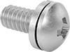 Stainless Steel Pan Head Phillips Screws with Split Lock Washer