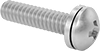 Stainless Steel Pan Head Phillips Screws with Split Lock Washer