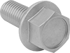 Steel Flanged Hex Head Screws