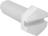Plastic Slotted Hex Head Screws