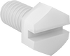Plastic Slotted Hex Head Screws