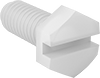Plastic Slotted Hex Head Screws
