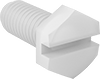 Plastic Slotted Hex Head Screws