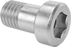 Low-Profile Stainless Steel Socket Head Screws with Pilot Recess