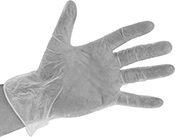 Image of ProductInUse. Front orientation. Gloves. Economy Vinyl Disposable Gloves.