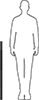 Lead Screws