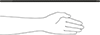 Lead Screws