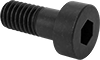 Low-Profile Steel Socket Head Screws with Pilot Recess