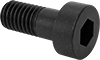Low-Profile Steel Socket Head Screws with Pilot Recess