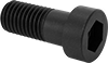 Low-Profile Steel Socket Head Screws with Pilot Recess