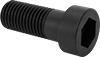 Socket Head Screws