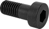 Socket Head Screws