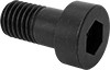 Low-Profile Steel Socket Head Screws with Pilot Recess