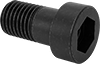 Low-Profile Steel Socket Head Screws with Pilot Recess