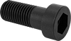 Socket Head Screws