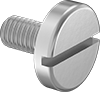 Stainless Steel Pan Head Slotted Screws