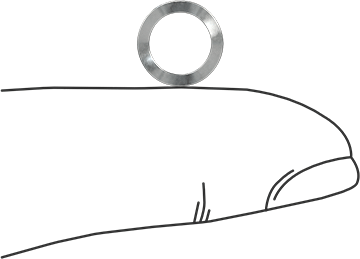 Image of Product. Side1 orientation. Contains SizingReference. Wave Disc Spring, Corrosion-Resistant, 0.265" ID, 0.367" OD, 0.006" Thick.