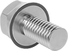 Hex Head Screws
