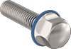 Sanitary Stainless Steel Hex Head Screws