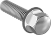 Sanitary Hex Head Screws