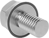Hex Head Screws