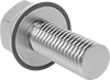 Hex Head Screws