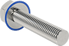 Sanitary Stainless Steel Hex Head Screws