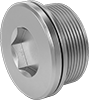 Pipe and Fittings